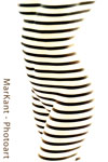 Magnetic Stripes II